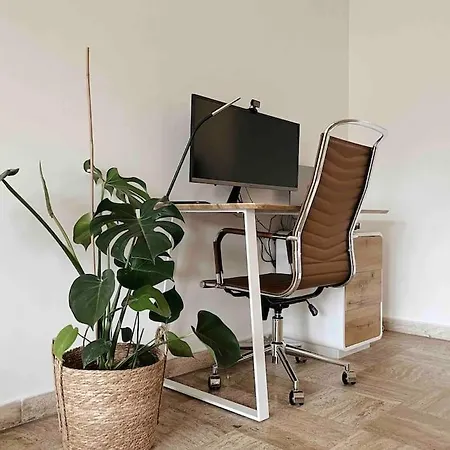 L'evasion Tropicale A Cannes Le Cannet