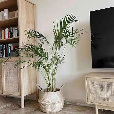 Apartment L'evasion Tropicale A Cannes
